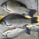 실리곡낚시터 이미지