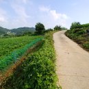 충도리농장 이미지