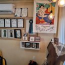 킴스펫살롱 이미지