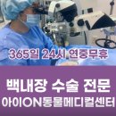 이리온 동물병원 | 수지24시동물병원, 강아지 백내장 후기가 증명하는 곳
