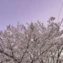 큐사랑 진월점 | 2024년 봄봄봄 🌸