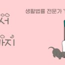 서부법무사 이미지