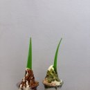 황금P.C | [스페인/세비야] Day10. 아요아요, 스페인 광장, 황금의 탑