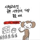 지오도그 - 청주시 상당구 단재로 2419 | 끝내주는 하루 보내기