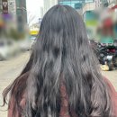 머리하는진