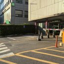 치즈 같은 땅 속 강남 4구에는 구멍이 송송 - 언주역 퇴근 길에 싱크홀 신고했어요 ( Feat. 싱크홀로...