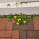 연수허브단기보호센터 이미지