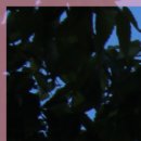 김영조피부과의원 이미지