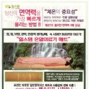 힐스템 이미지