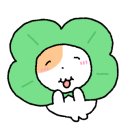 수암약국 이미지