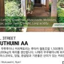 무투투 이미지