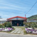 탑피자 벌교점 이미지