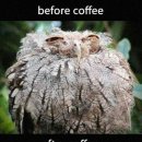 생각커피 이미지