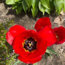 12연기법과 인연법 이미지