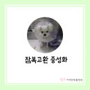 다정한 동물병원 이미지