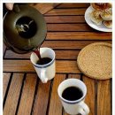 하얀민들레 이미지