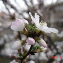 춘하추동 이미지