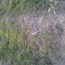 영찬농장 이미지