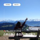스위스패스 할인 종류 가격 1등석 상세 후기, 부모님 아이랑 스위스 여행 후기 할인코드