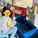 국제농장(진우네염소농장) | 방콕 아이와 가볼만한 곳 🌿 모리모리 플레이팜 가족체험 후기