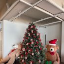 리코리카 | 광안리해수욕장 광안대교 오션뷰 맛집 카페 리코리카 내돈내산 후기