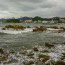 송정수산 Daum카페