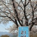오늘리버독채펜션