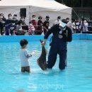 서천 자연산 광어 도미 맛보고 축제 재미에 빠지고! 이미지