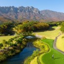 소노벨, 소노문 델피노 이미지