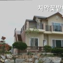 치악꽃밭머리펜션 이미지