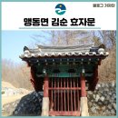 김순효자문 이미지