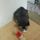 자매헤어 - 화순군 | 자매헤어