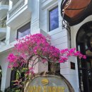 그랜드팰리스호텔익산 | 호이안 그랜드 선라이즈 팰리스 호텔 후기｜수영장·조식·마사지