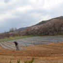 더나농장 이미지