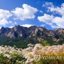 월출산3호 이미지