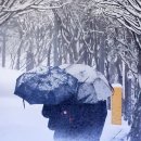 [날씨] 오늘·내일 전국 곳곳 큰 눈…최대 20cm 이상 이미지