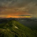 쏘주카페 이미지