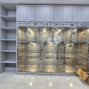 백동물병원 이미지