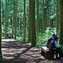 명품베스트 이미지