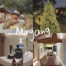 스테이더담 밀양 | 대구 부산 근교 여행지 밀양 독채펜션 스테이더담 밀양금산점 | 겨울 감성 트리 숙소 솔직 후기