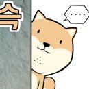 아이러브마이독 이미지