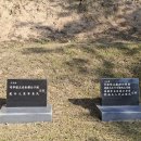 풍년청과 이미지