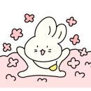 구름 펫 살롱 이미지