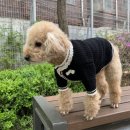 호치민칼디커피 이미지