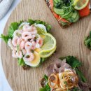 황혼농장 | 모래 속에 묻히다 살아난 120년 등대의 고독미, 루비어 크누데[제임스골드 여행]