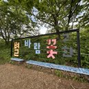 정선세차장 이미지