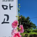 동화리관광농원 | 송악저수지 천년의숲길 - 아산여행
