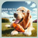 천호동물병원 이미지