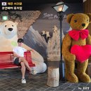 백악관모텔 | 제주 남쪽 여행 코스 서귀포 가볼만한곳 조안베어 뮤지엄