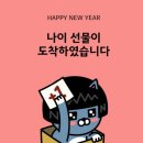 꽃길만걷자 이미지